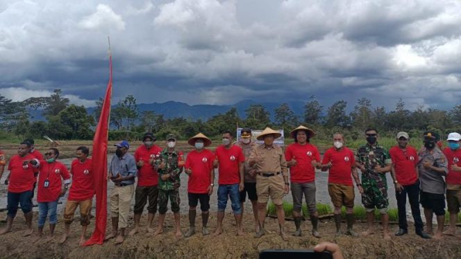 Kapten Inf Sony Teguh Bahtiar, S.T.Han., bersama Pemerintah Kabupaten Jayawijaya melaksanakan penanaman padi perdana di Distrik Assologaima, Kab. Jayawijaya, Senin (14/2). FOTO : PENDAM XVII/CENDERAWASIH)