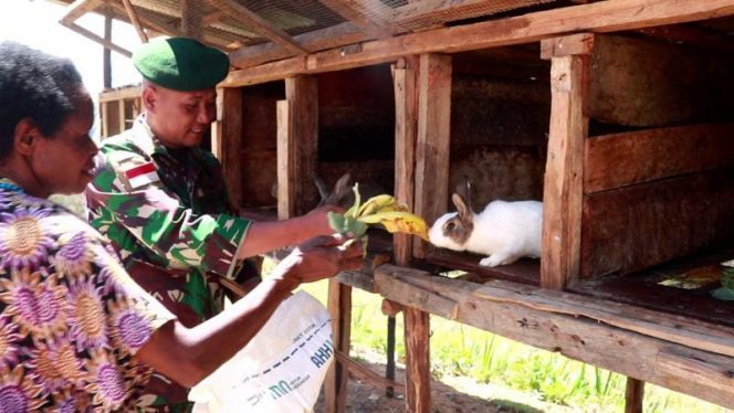 Foto anggota Satgas Yonif MR 412 Kostrad dari Pos Kotis Tiom, saat melaksanakan kegiatan pendampingan kepada peternak kelinci yang ada di Desa Ninabua Distrik Jiginua Lanny Jaya. (pendam XVII/Cenderawasih)