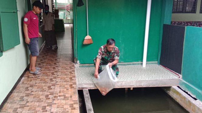 Danramil 09/Telanaipura Mayor Inf Widi Purwoko, SE tabur benih ikan Nila di pekarangan kantor (SRIWIJAYADAILY/WIDI)