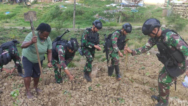 Personel Satgas Yonif Mekanis 203/AK Pos Kotis Tiom dan masyarakat pegunungan tengah Papua melaksanakan penanaman bibit jagung./ FOTO : Pendam XVII/Cenderawasih