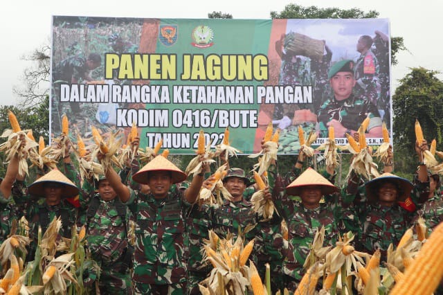 Panen Jagung Perdana, Dandim Bute Berharap Ekonomi Masyarakat Terbantu/ FOTO : IST